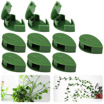 Vines Green Plants Indoor Finishing Clips Green Dill Fixer