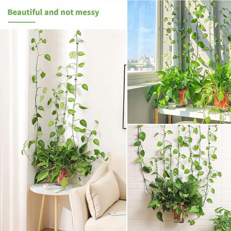 Vines Green Plants Indoor Finishing Clips Green Dill Fixer